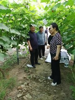 院内要闻2.jpg