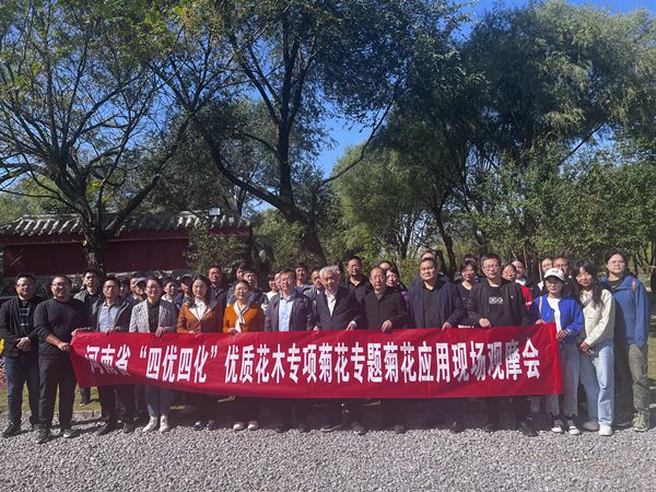 裁剪1.jpg