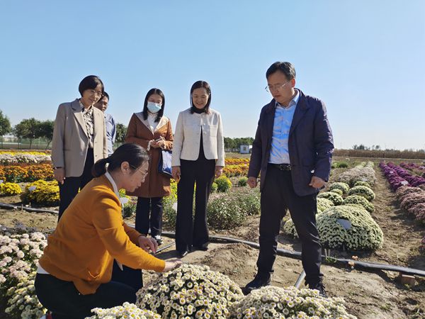 2_副本裁剪.jpg