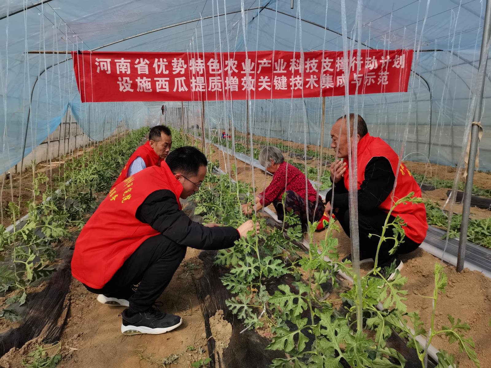微信图片_20240322090429.jpg