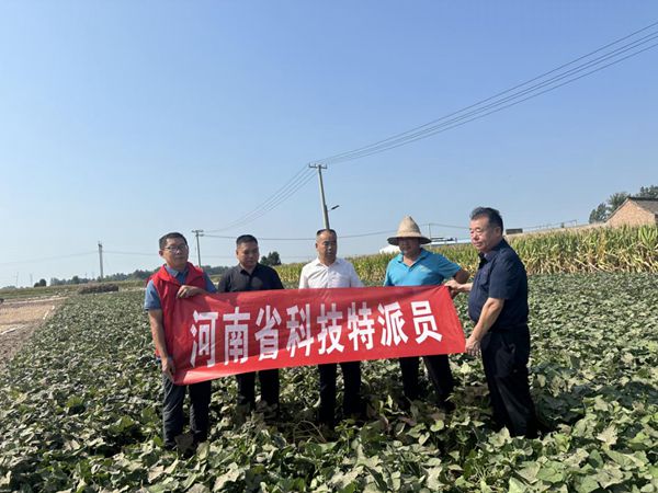 图片2_副本.jpg裁剪.jpg 图片2_副本.jpg裁剪.jpg