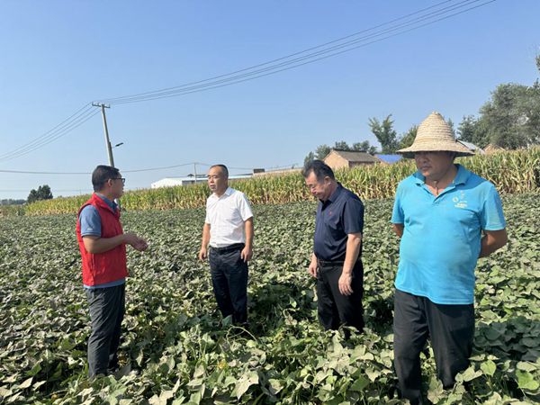 图片3_副本.jpg裁剪.jpg 图片3_副本.jpg裁剪.jpg