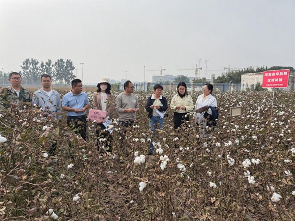 图片1_副本裁剪.jpg 图片1_副本裁剪.jpg