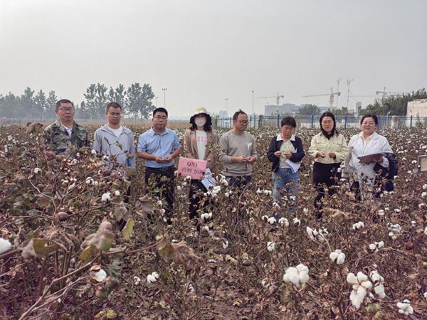 图片3_副本裁剪.jpg 图片3_副本裁剪.jpg