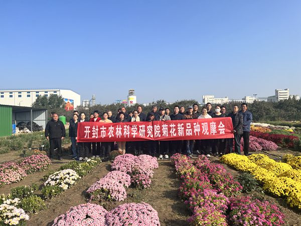 3_副本.jpg裁剪.jpg