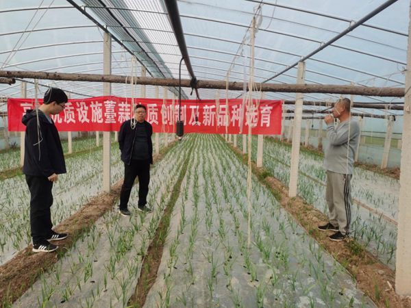 图片1_副本.jpg裁剪.jpg 图片1_副本.jpg裁剪.jpg