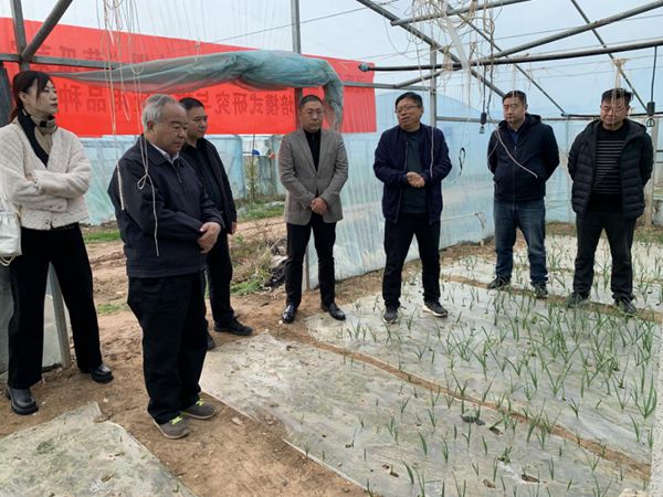 图片2_副本.jpg裁剪.jpg 图片2_副本.jpg裁剪.jpg