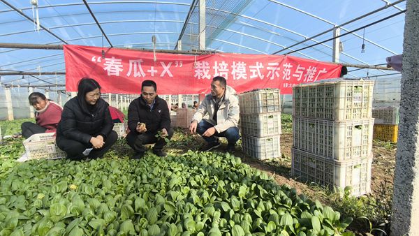 1_副本裁剪.jpg 1_副本裁剪.jpg