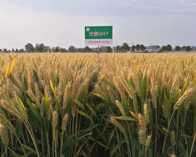 微信图片_20250107103911_副本.jpg裁剪.jpg