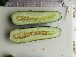 菊城青皮1_副本.jpg裁剪.jpg