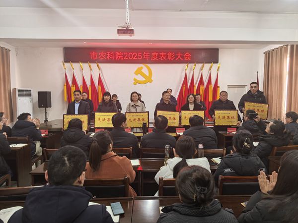 3_副本裁剪.jpg