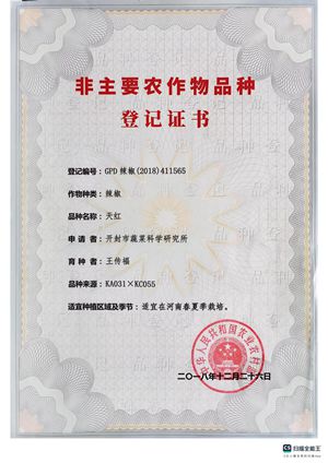图片1_副本.jpg11.jpg