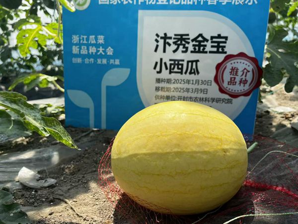 图片1_副本.jpg裁剪.jpg