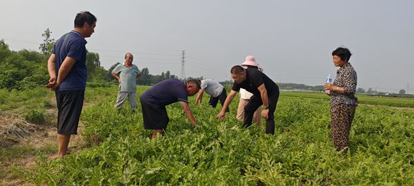2_副本.jpg裁剪.jpg