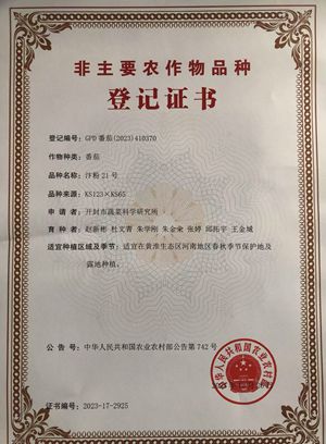 2_副本.jpg裁剪2.jpg