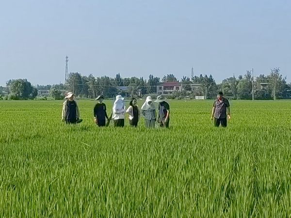 图片1_副本.jpg裁剪.jpg