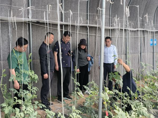 3_副本.jpg裁剪.jpg 3_副本.jpg裁剪.jpg