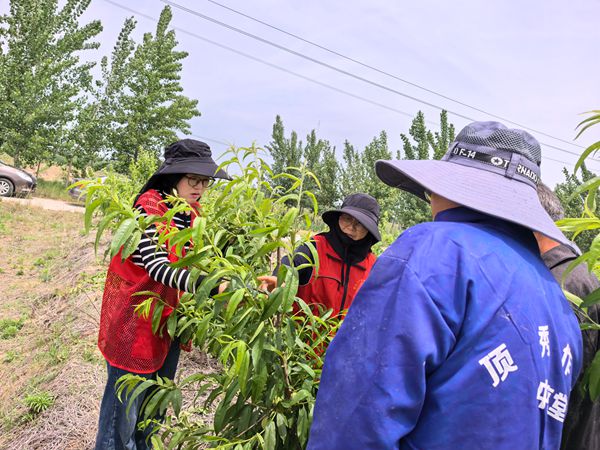 1_副本.jpg裁剪.jpg