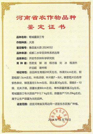 图片1.jpg菊城薹蒜三号证书_副本.jpg裁剪.jpg