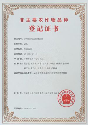 图片1.jpg菊城2206证书_副本.jpg裁剪.jpg