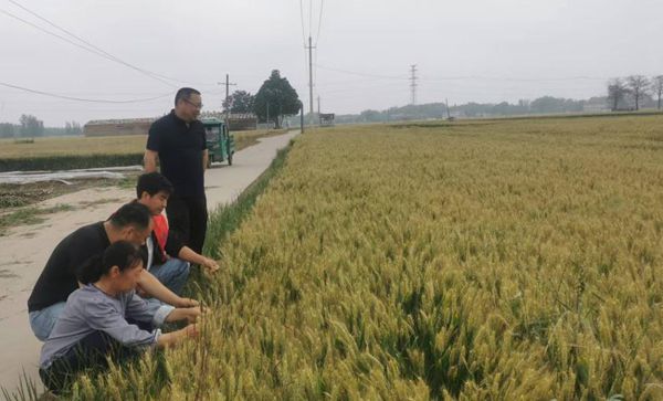 图片3_副本.jpg裁剪.jpg 图片3_副本.jpg裁剪.jpg